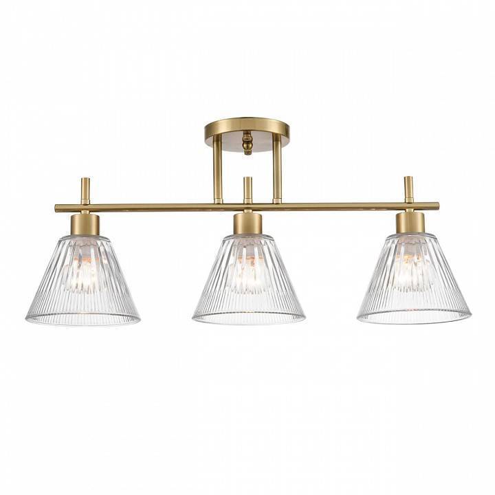 Светильник на штанге Lumion Vivian 8188/3C