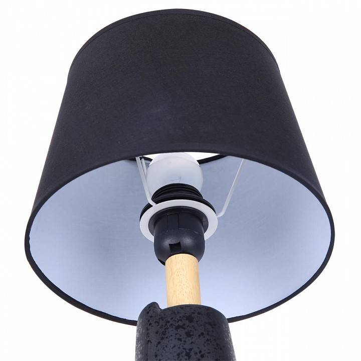 Настольная лампа декоративная Lumion Visiona 8209/1T