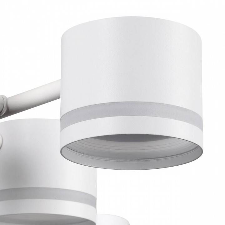 Потолочная люстра Lumion Gareta 8235/12C