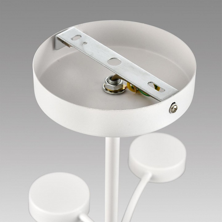 Люстра на штанге Lumion TORINA 8265/12