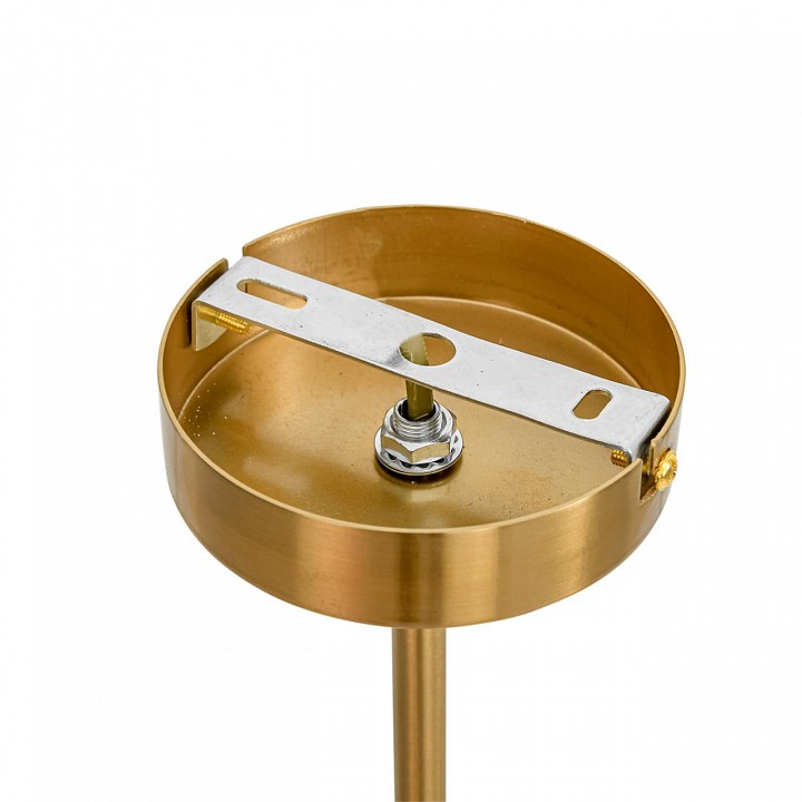 Люстра на штанге Lumion DENVER 8276/6