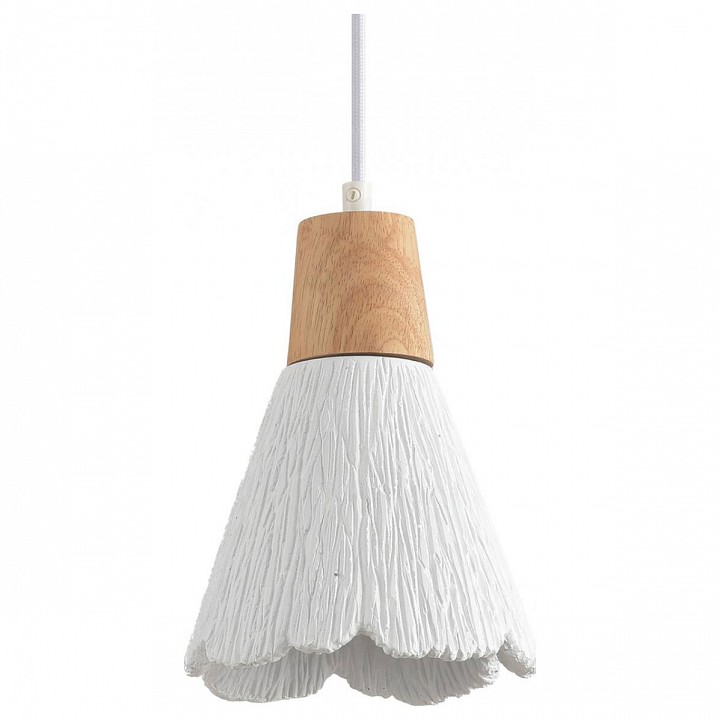 Подвесной светильник Lumion EOLIANA 8352/1B