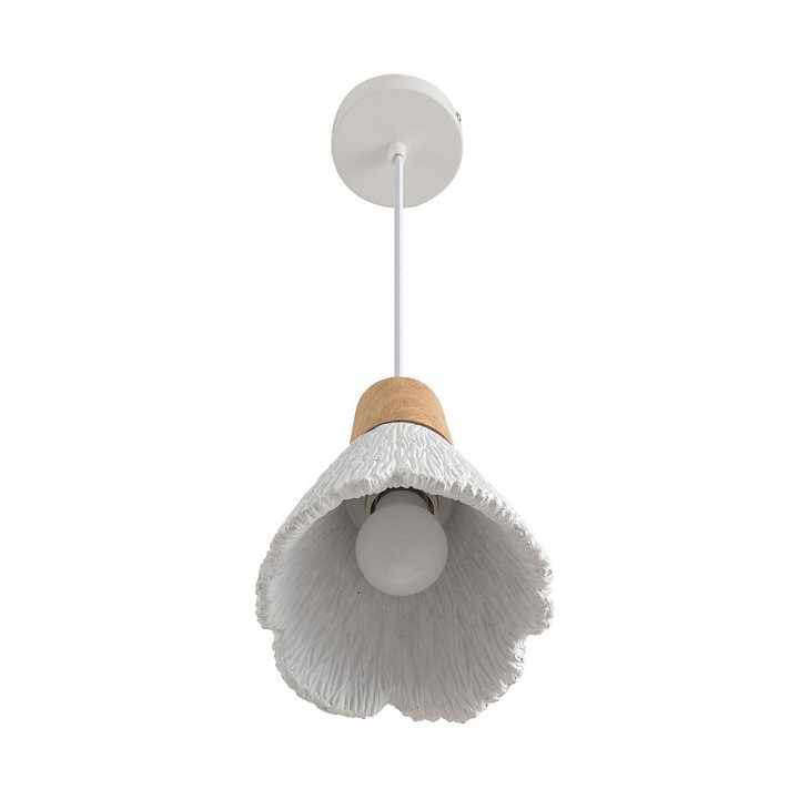 Подвесной светильник Lumion EOLIANA 8352/1B