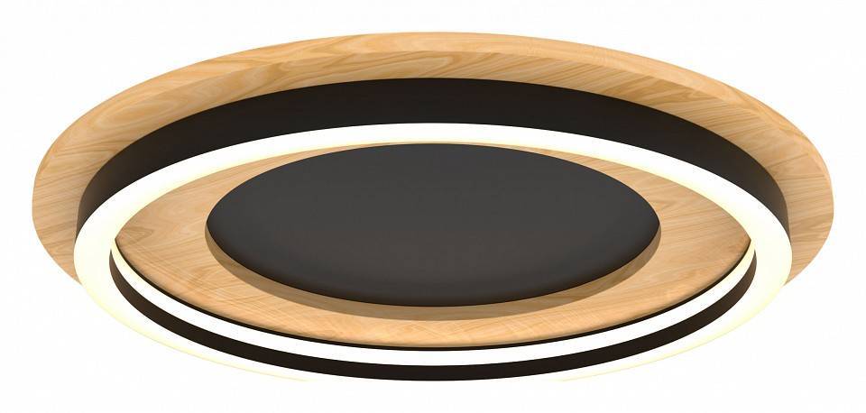 Накладной светильник Lightstar Lodi 723017