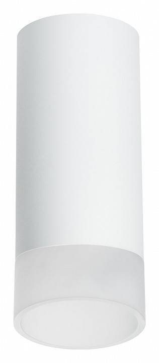 Накладной светильник Lightstar Rullo R648681