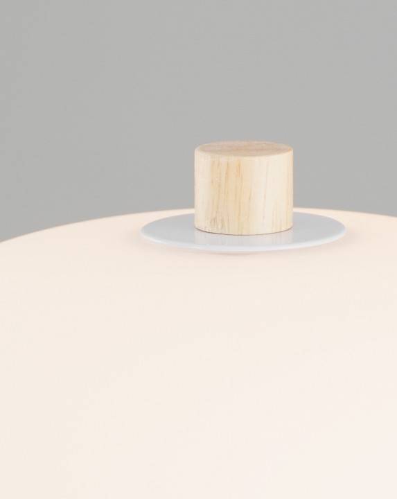 Настольная лампа декоративная Moderli Cute V10291-TL