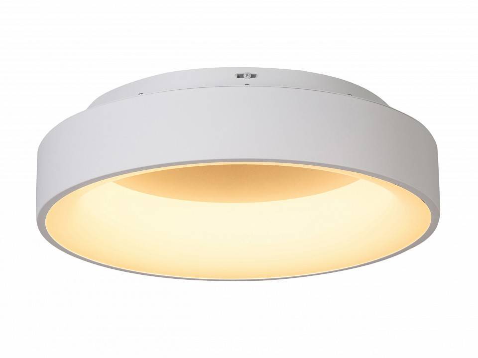 Накладной светильник MyFar Shannon MR2194-1PL