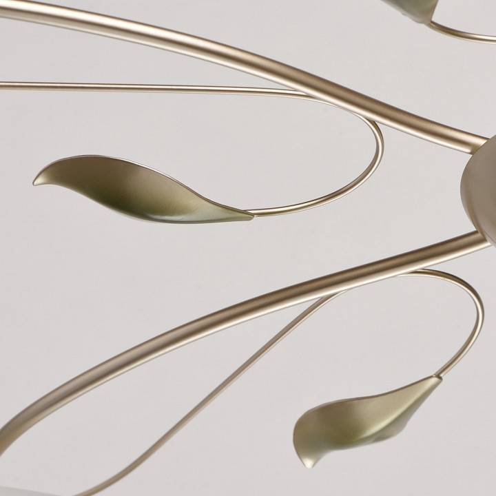 Потолочная люстра MW-Light Верона 10 334013006