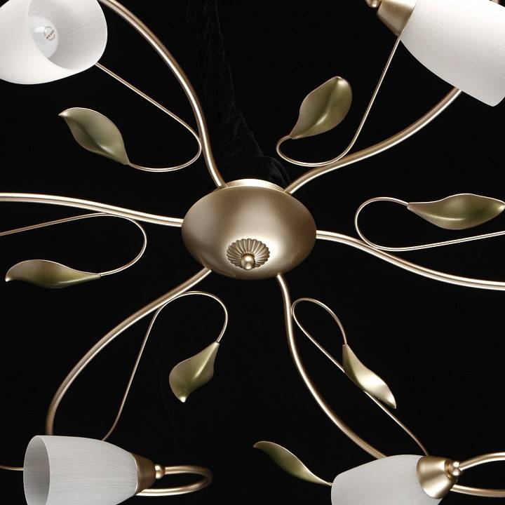 Потолочная люстра MW-Light Верона 10 334013006