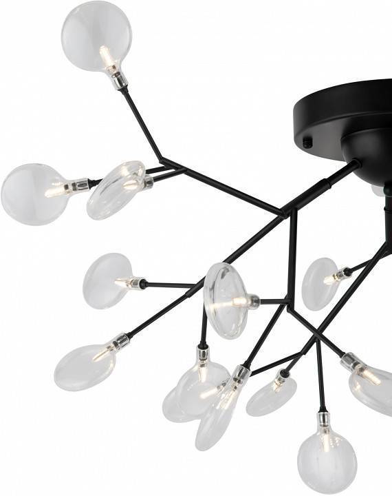 Потолочная люстра Freya Florencia FR5049CL-27B