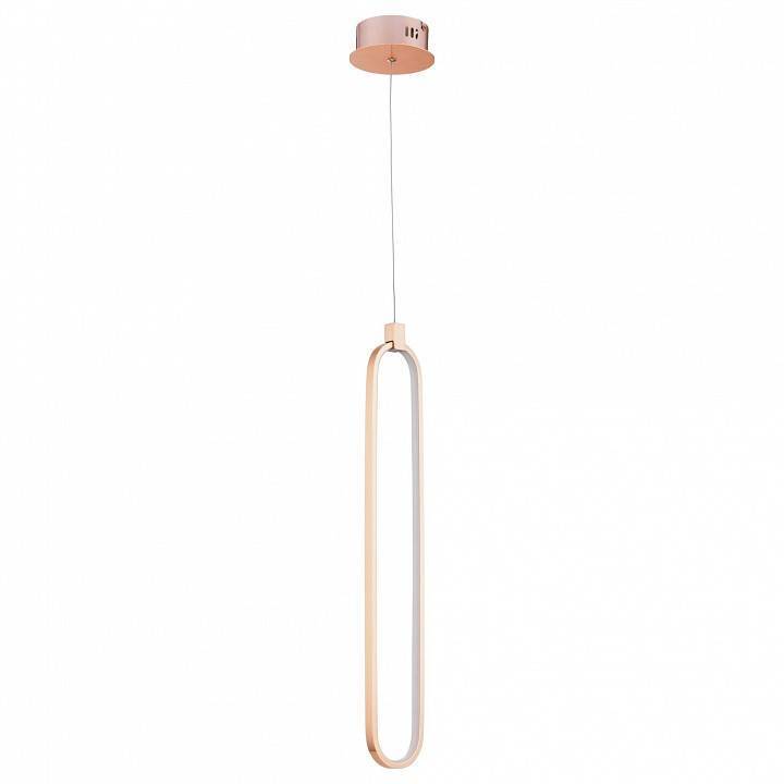 Подвесной светильник Maytoni Chain MOD017PL-L13G