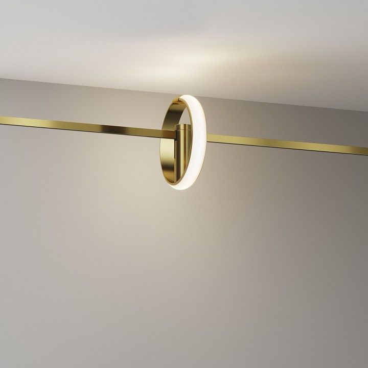 Светильник на штанге Maytoni Technical  TR230-1-10W3K-BS