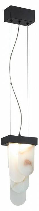 Подвесной светильник Odeon Light Foros 5438/12L