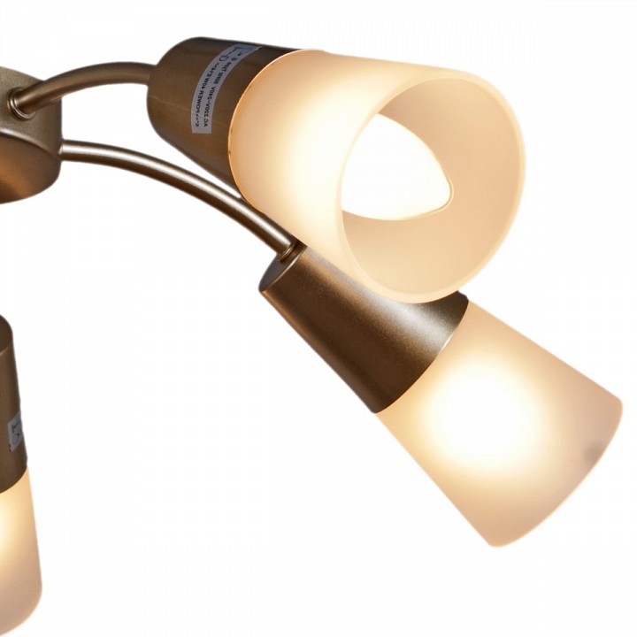 Потолочная люстра De Markt 01266-0.3-05B GOLD