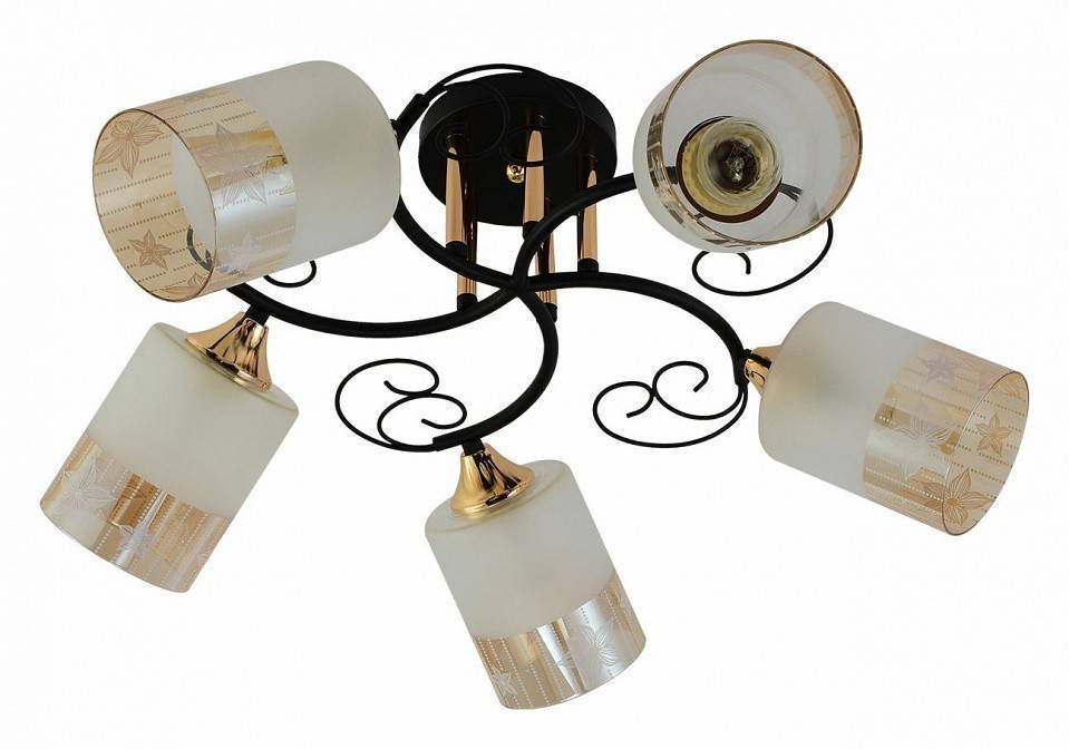 Потолочная люстра Reluce 01315-0.3-05 BK+FGD