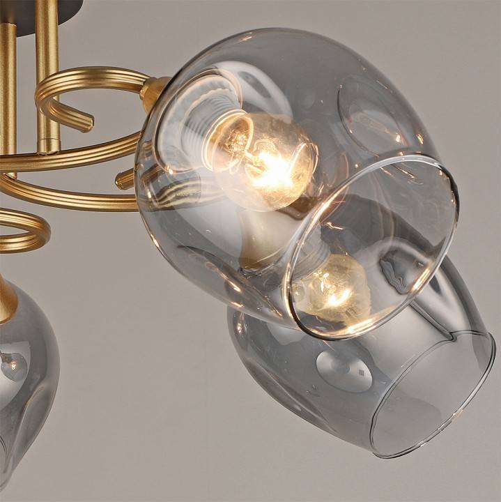 Потолочная люстра Reluce 04615 5 ламп 04615-0.3-05