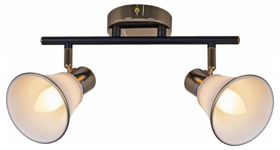 Светильник на штанге  05901-0.8-02 BK+FGD