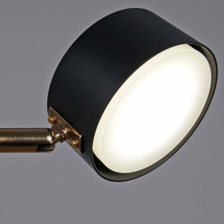 Люстра на штанге Reluce 06660-0.3-08 BK+COP GX53