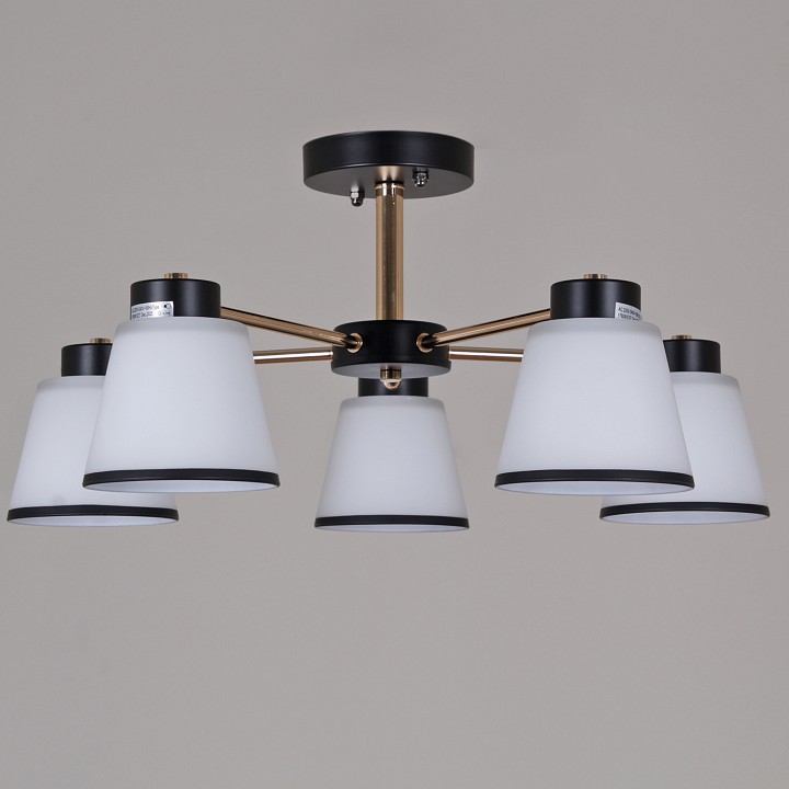 Люстра на штанге  30560-0.3-05 BK+FG