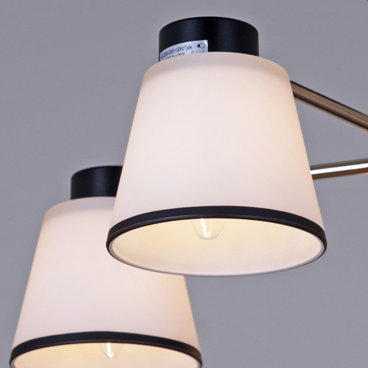 Люстра на штанге  30560-0.3-05 BK+FG