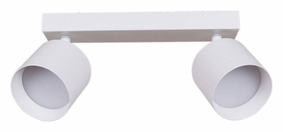Спот Reluce 2хGX53 белый 53019-9.5-002IL