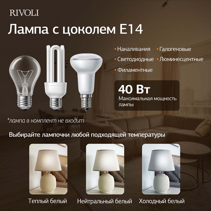 Настольная лампа декоративная Rivoli Naomi 7551-501
