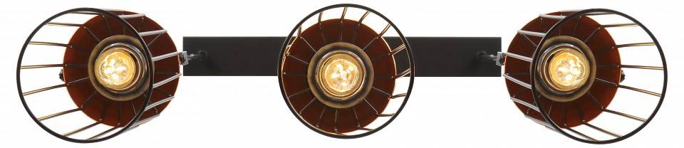 Подвесной светильник Rivoli Anemon Б0047362