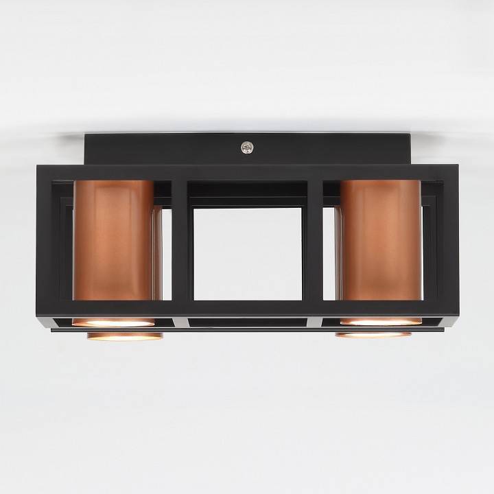 Потолочная люстра Rivoli Raffaela 8x40 Вт E14 Б0051235