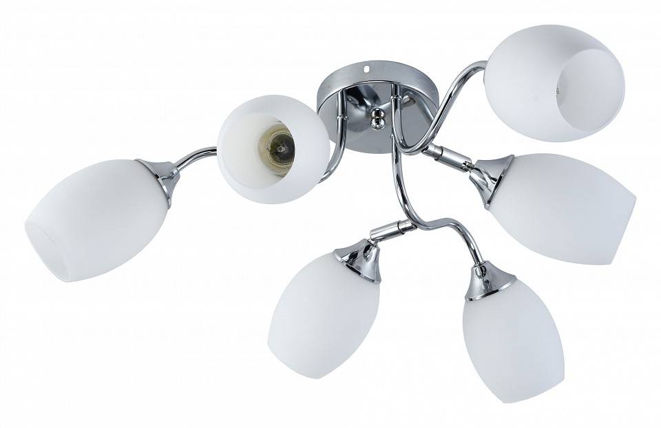 Потолочная люстра Rivoli Hollie 6хE27 60 Вт Б0055379