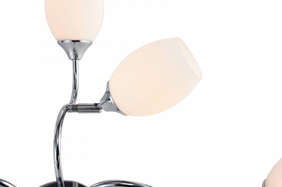 Потолочная люстра Rivoli Hollie 8хE27 60 Вт Б0055380