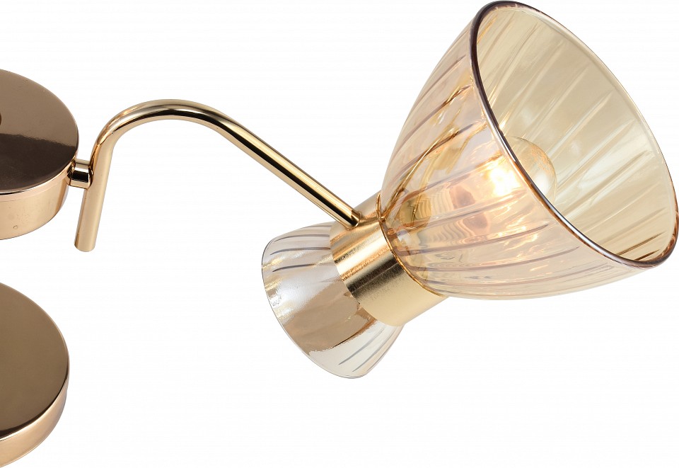 Люстра на штанге Rivoli Victoria 9183-303