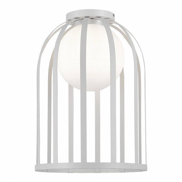 Накладной светильник ST-Luce Nordic SL6129.502.01