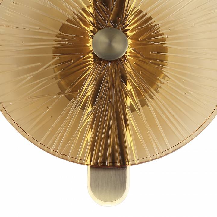 Накладной светильник ST-Luce WASI SL6141.311.01