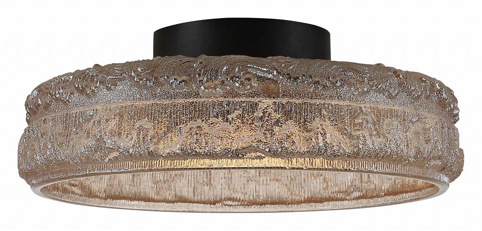 Накладной светильник ST-Luce ANTIKE SL6143.422.01