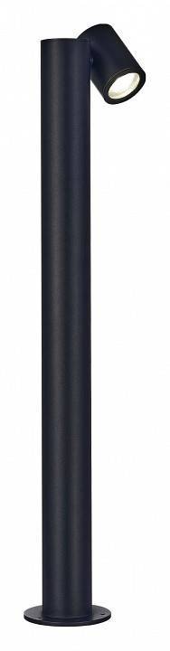 Уличный светильник ST-Luce Visioni SL9003.405.01