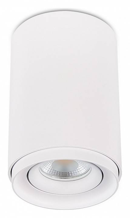 Накладной светильник SIMPLE STORY 2065 2065-1CLW