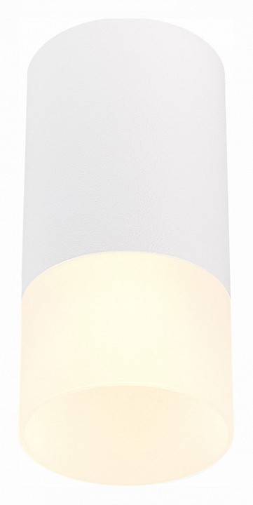 Накладной светильник ST-Luce ST100 ST100.512.01