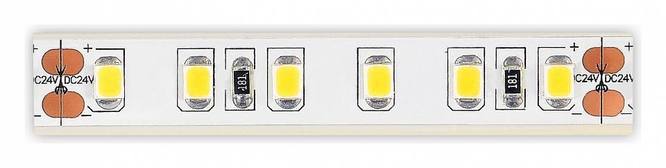 Лента светодиодная ST-Luce ST1001 ST1001.310.65