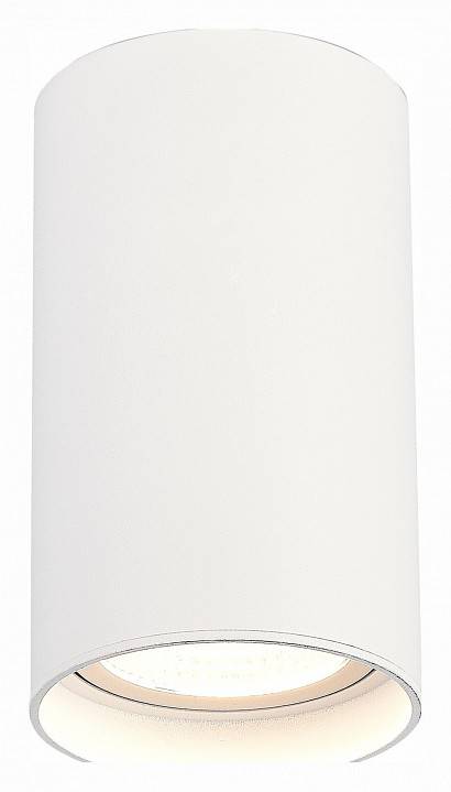 Накладной светильник ST-Luce ST157 ST157.542.20