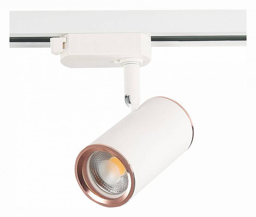 Светильник на штанге ST-Luce Cromi ST301.526.01