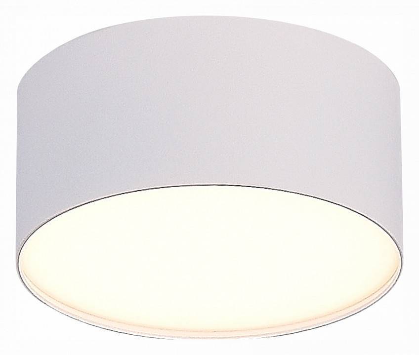 Накладной светильник ST-Luce ST606 ST606.532.12