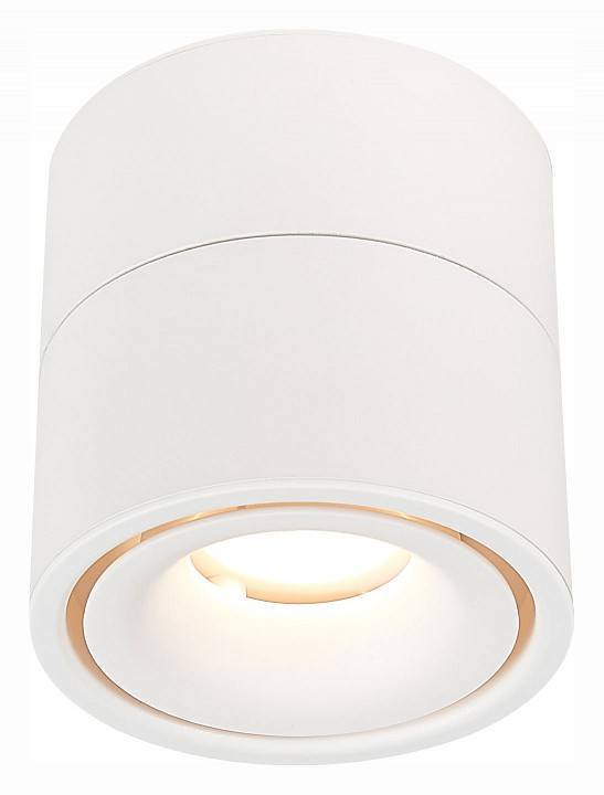 Светильник на штанге ST-Luce ST652 ST652.532.12