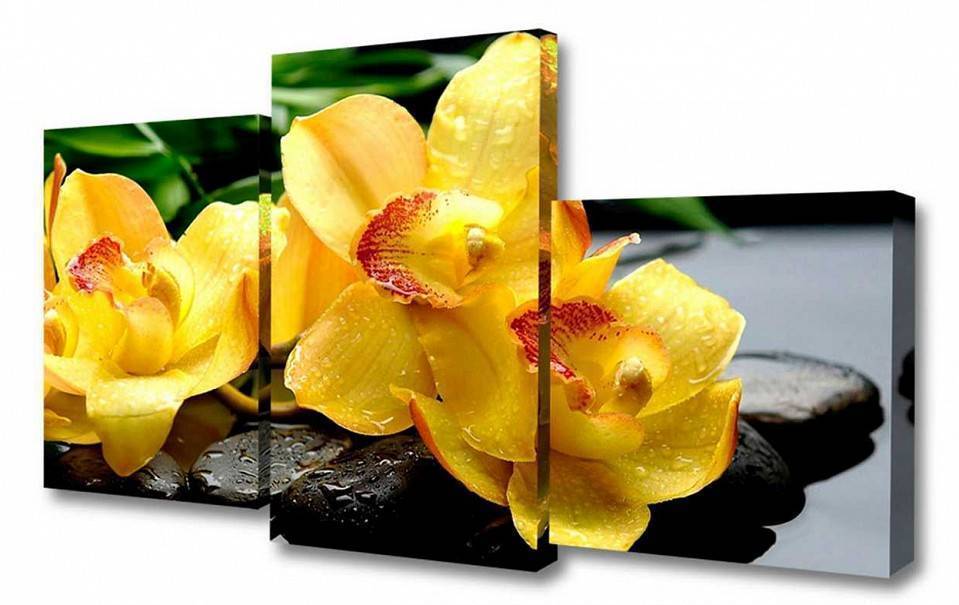 Набор из 3 картин TopLight TL-MM1040