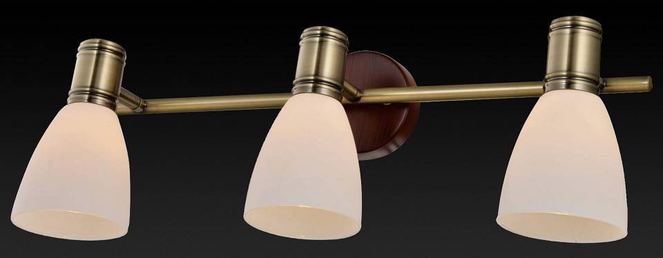 Спот TopLight Sharyl 3 лампы TL3720Y-03BB