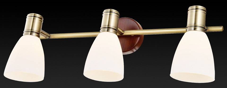 Спот TopLight Sharyl 3 лампы TL3720Y-03BB