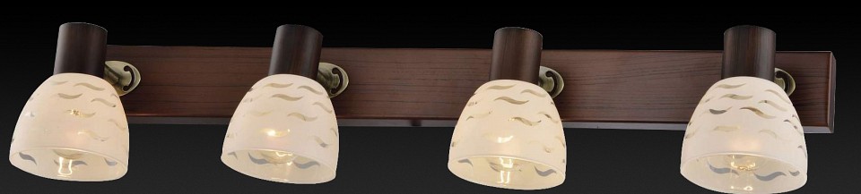 Спот TopLight Shayla TL3730Y-04BB