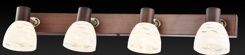 Спот TopLight Shayla TL3730Y-04BB