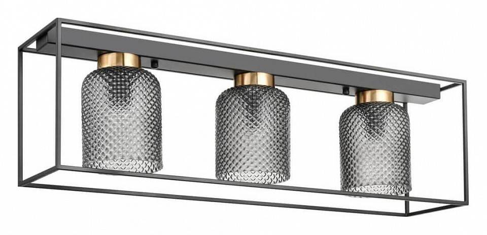 Накладной светильник Vele Luce Morrison VL5472L03