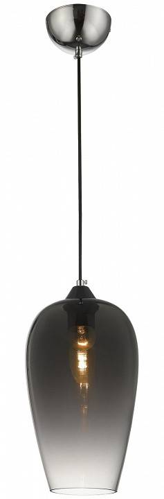 Подвесной светильник Wertmark Beni WE205.01.106