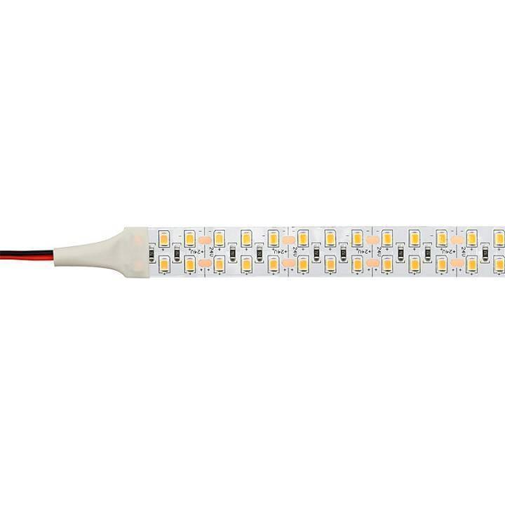 Лента светодиодная Wolta  WLS2835-24W/4000/24H240-02